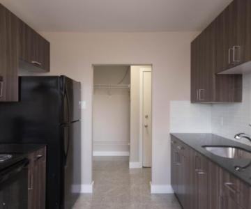 Lilac - Photo 2 of 7