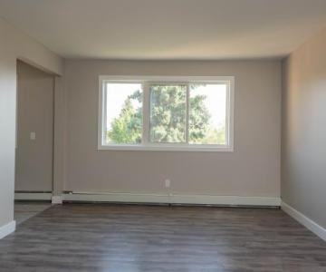 Lilac - Photo 3 of 7