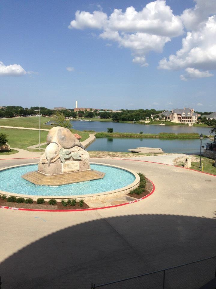 6966 Mediterranean Dr #g55