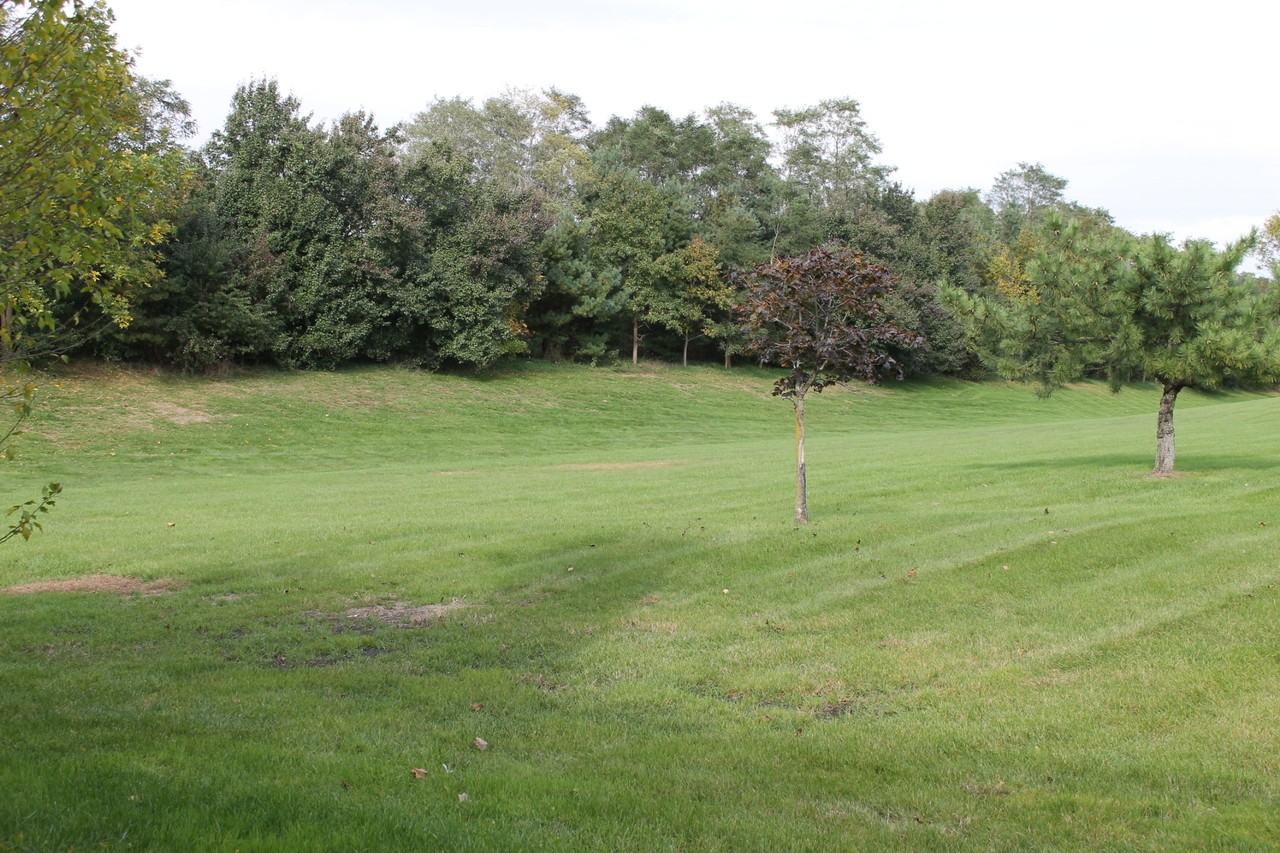 167 Old Orchard Ln - Photo 2 of 20