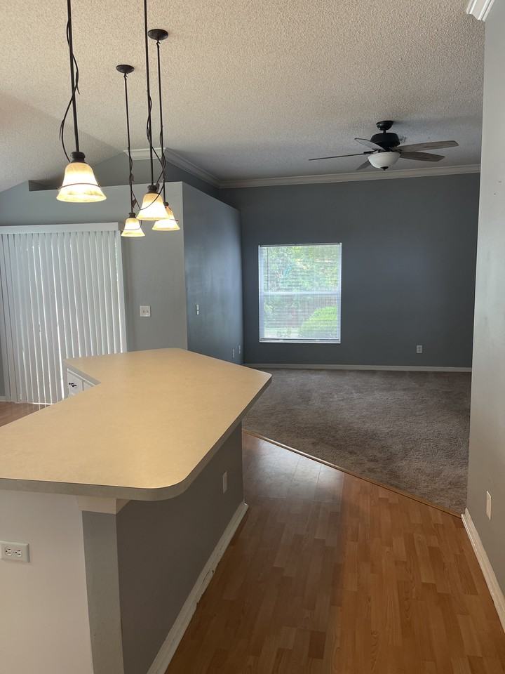 10242 Oasis Palm Dr - Photo 3 of 10