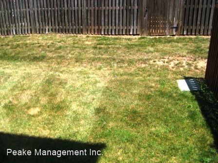 13510 Nickleback Ct - Photo 2 of 17