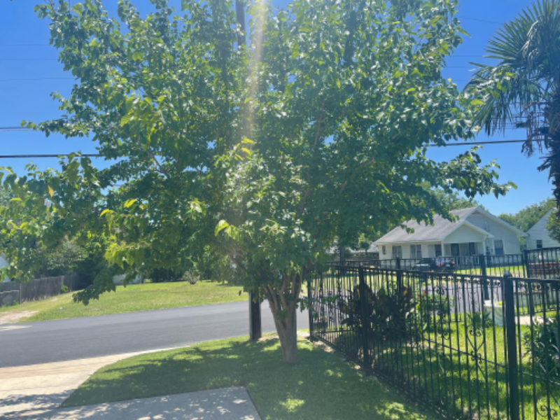 2301 Flint Ave #A - Photo 3 of 22