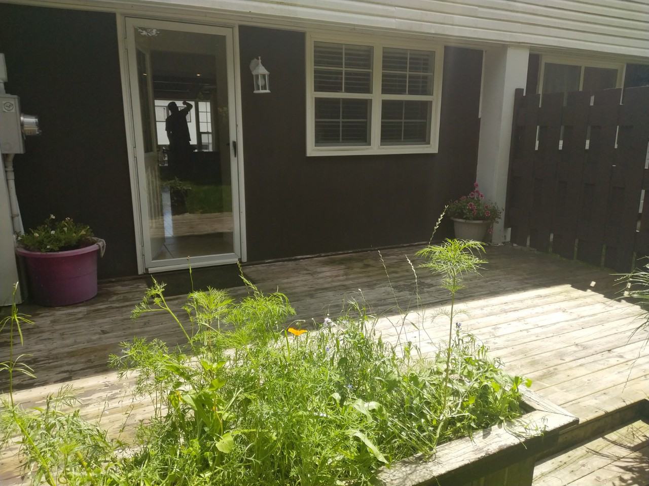 43 Shepherd Rd #0 - Photo 2 of 26