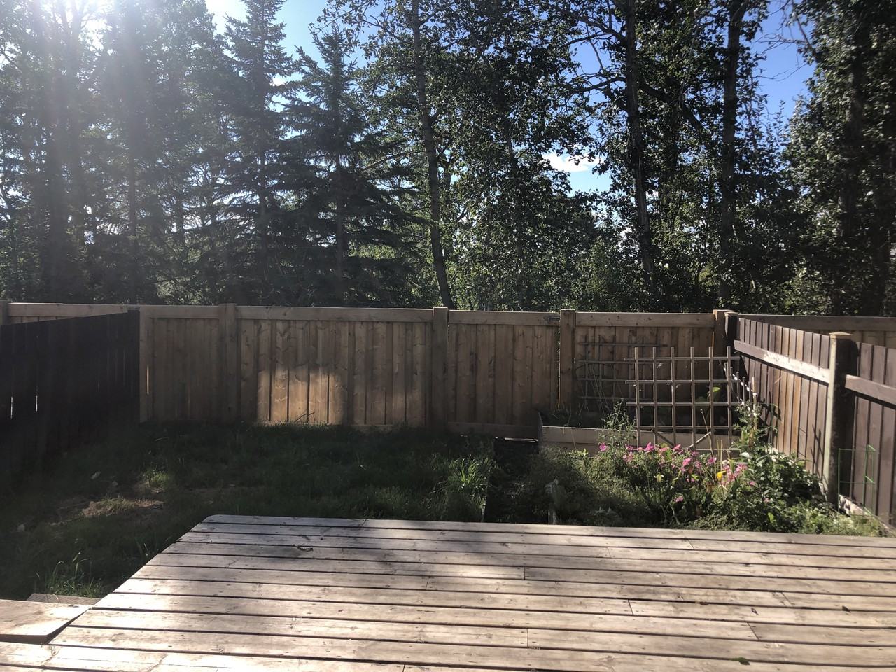 7865 Cedar Wood Park - Photo 2 of 19