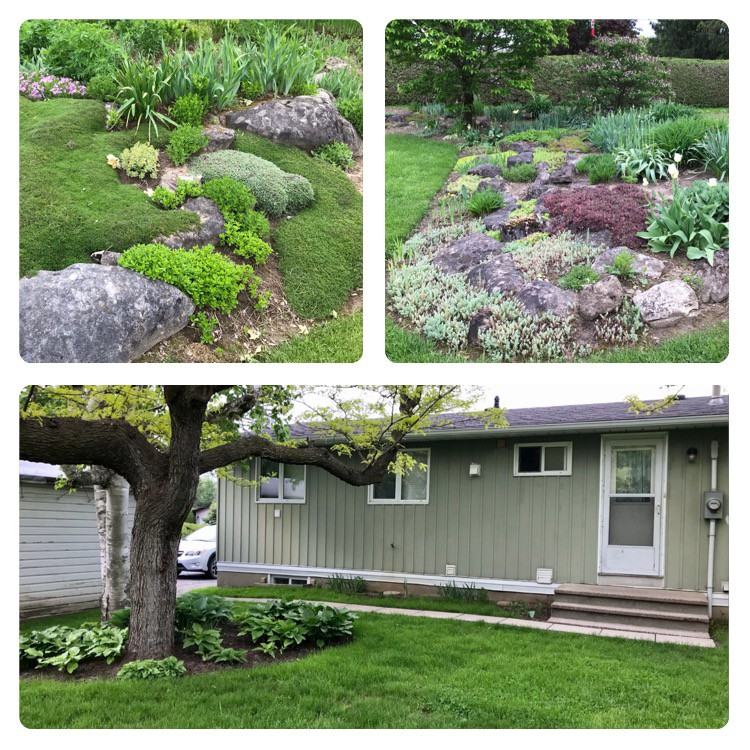 2602 Brentwood Street - Photo 2 of 11