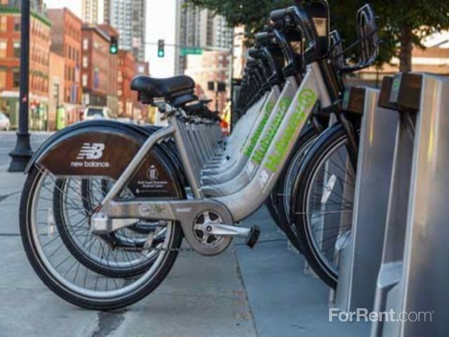 The Victor - Photo 2 of 23