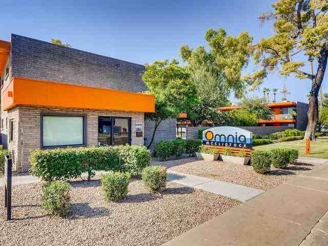 1701 E Don Carlos Ave - Photo 3 of 31