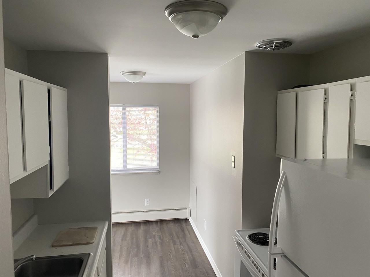 229 Collingwood St #1 - Photo 2 of 19