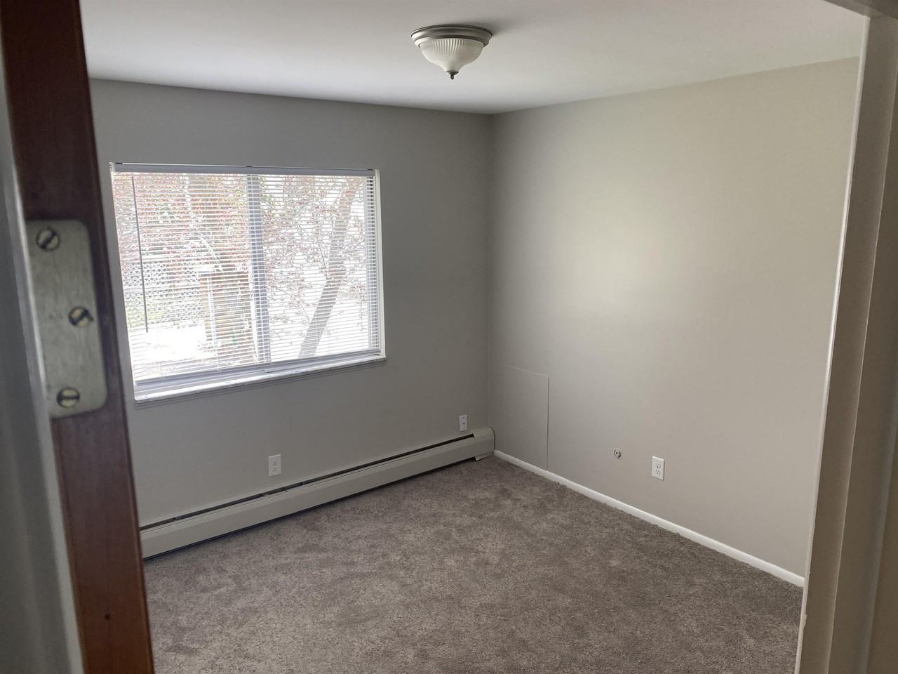 229 Collingwood St #1 - Photo 7 of 19