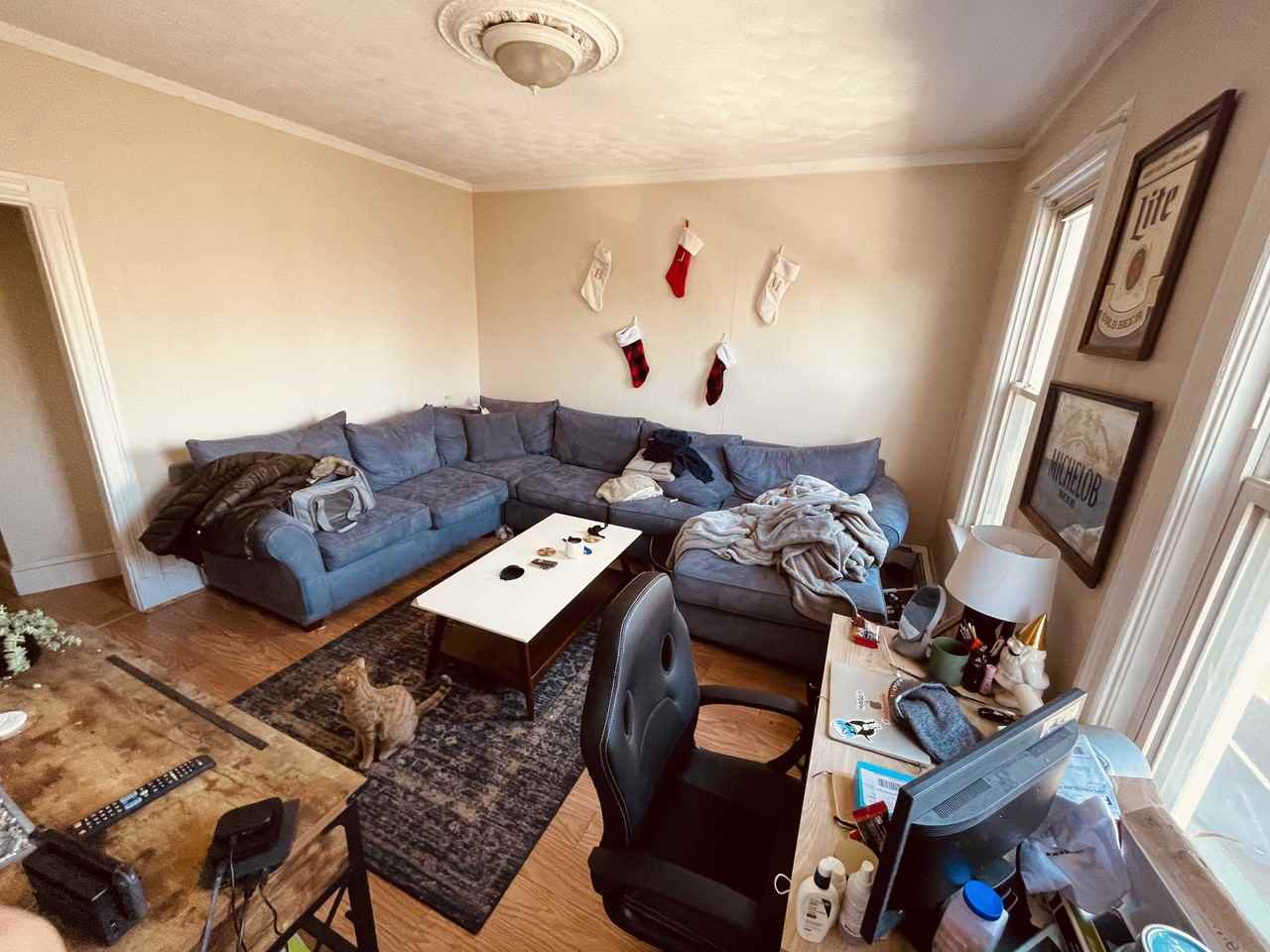 Maverick St - Photo 4 of 37