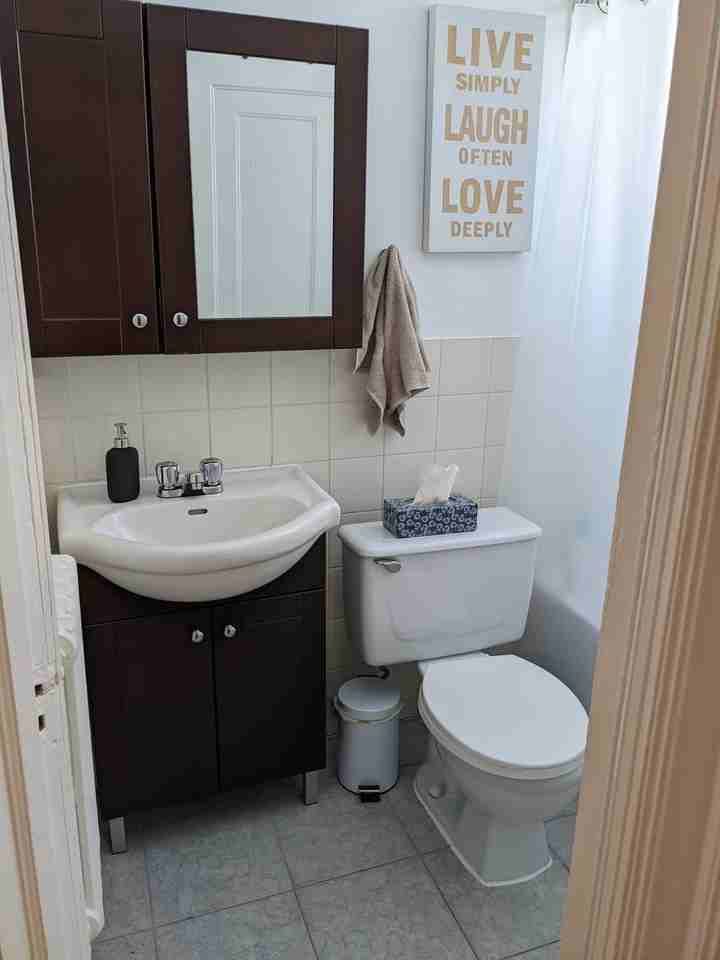 4702 Ch Queen-Mary #7 - Photo 2 of 10