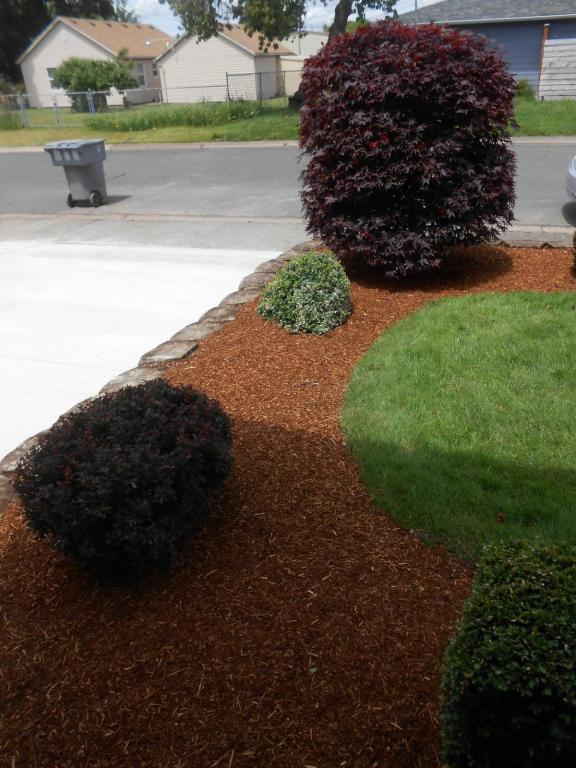 386 30th Ave Se - Photo 3 of 31