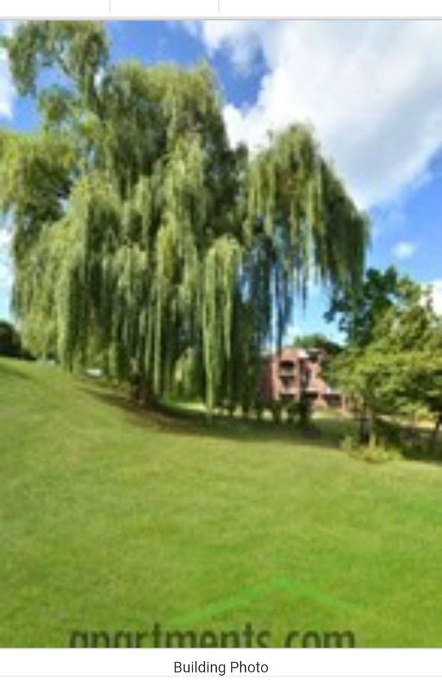 4 Dutch Village Apartment - Photo 2 of 6