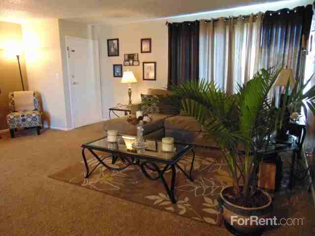 Evergreen - Photo 2 of 14