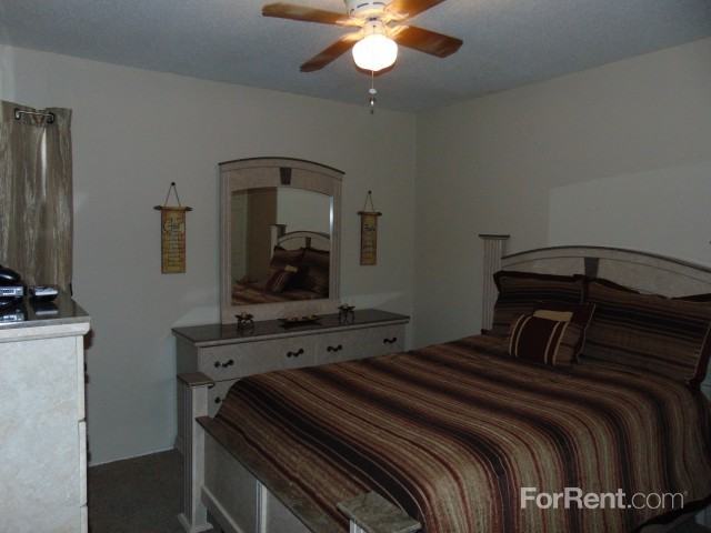 Evergreen - Photo 3 of 14