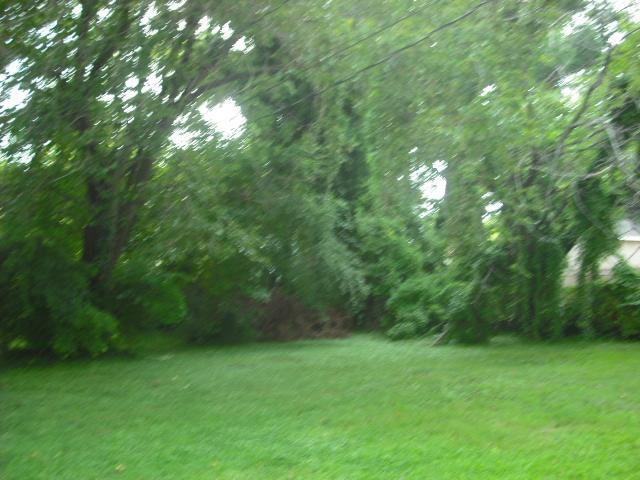 327 Locust Avenue - Photo 4 of 6