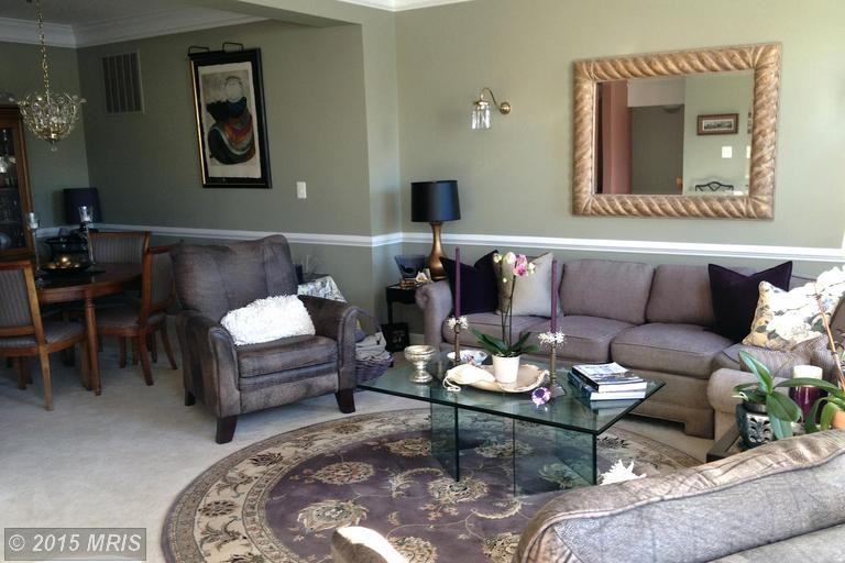 20046 Northville Hills Terrace - Photo 3 of 15