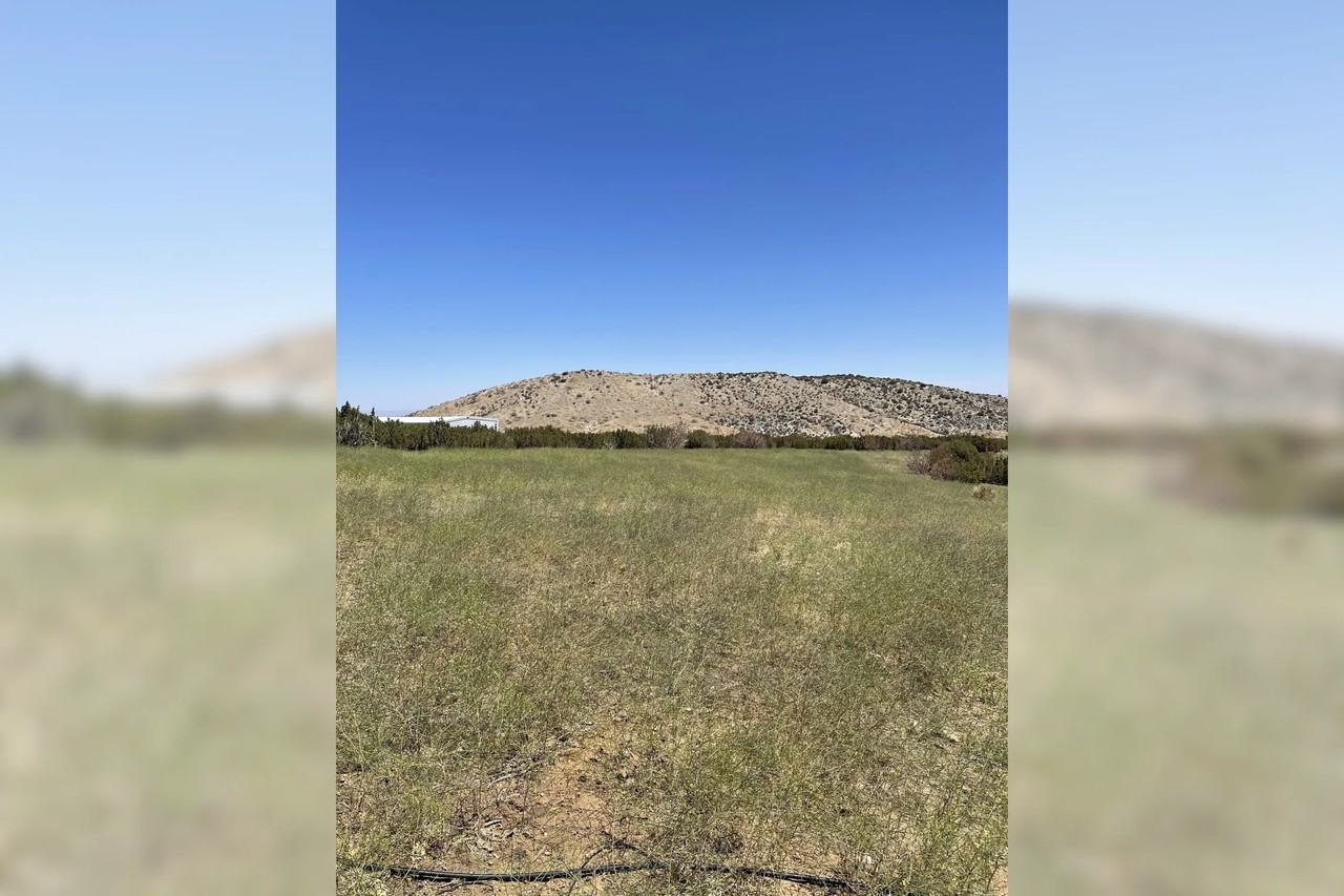 12001 Tumbleweed Rd - Photo 3 of 9