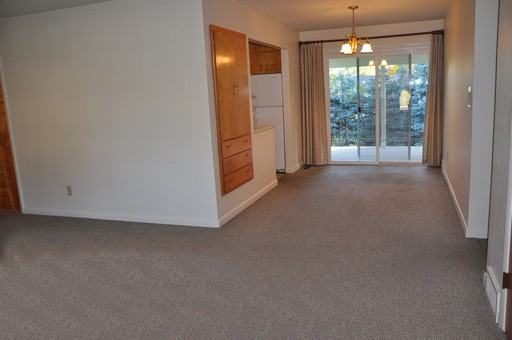 1013 E Lake St - Photo 2 of 15