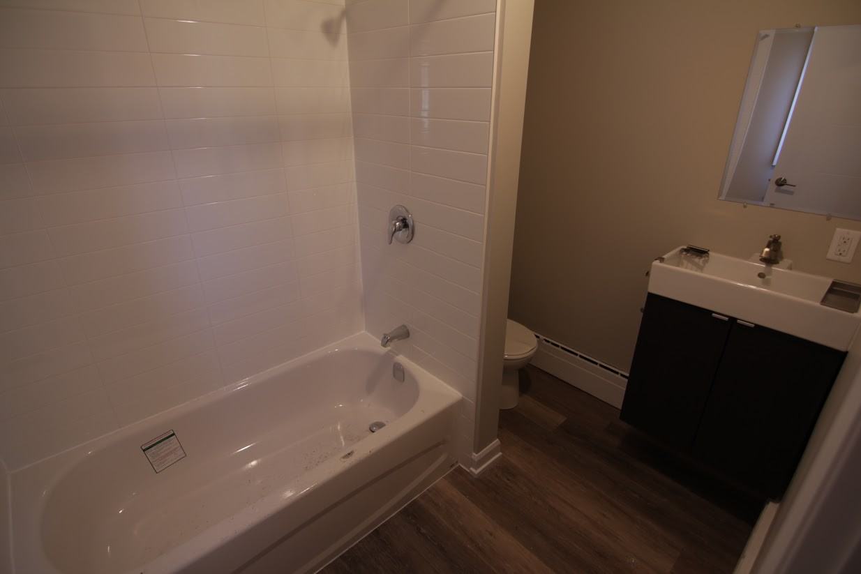 Renovated One Bedroom Apartment - Photo 7 of 10