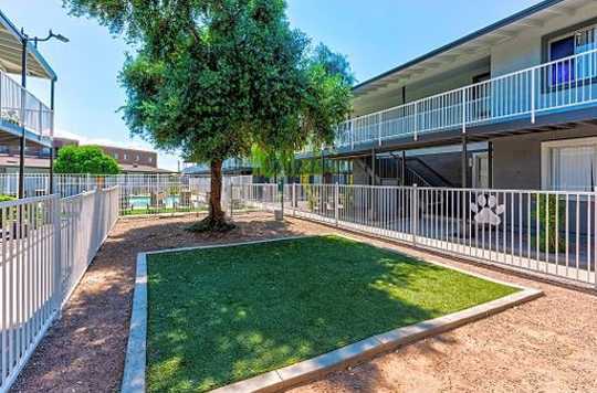 Diamond Asset Management & Realty 3 of 4