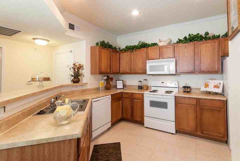 Farm to Market Road 1488 #670p