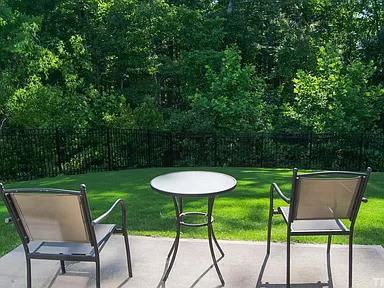 2509 Magnolia Tree Ln - Photo 3 of 16