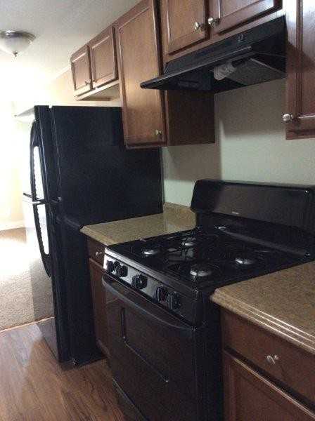 1146 McMillen Ave - Photo 3 of 15