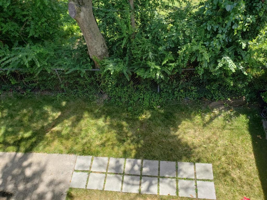 529 W 37th St - Photo 7 of 50