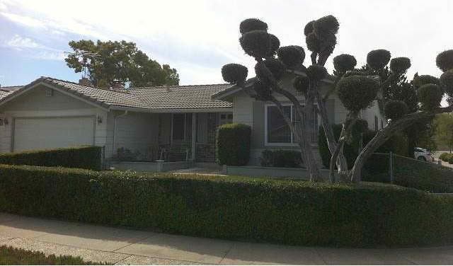 2909 Cord Ct - Photo 2 of 15