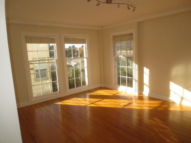 1090 Eddy Street #303