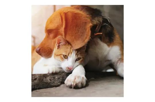 York Properties, Inc. 3 of 4