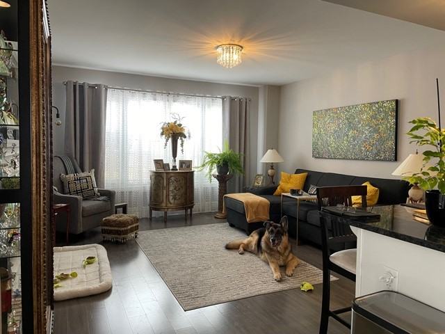 320 Lipizzaner Street - Photo 2 of 21