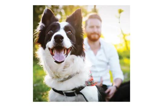 York Properties, Inc. 2 of 4