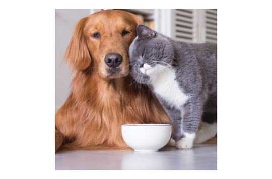 York Properties, Inc. 2 of 4