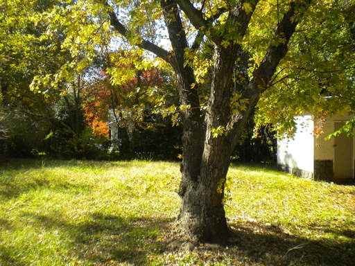 2202 Emerywood Rd - Photo 2 of 2