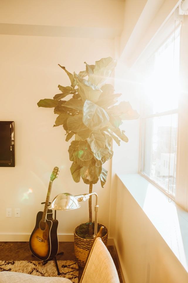 The Commerce Building - Photo 7 of 33