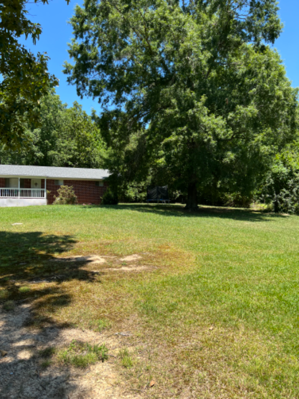 1045 Hwy - Photo 3 of 5