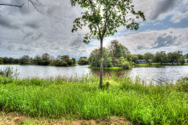 1045 Lablonde Ln #121B - Photo 3 of 13