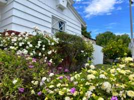 featured image of 1905 Elanita Drive