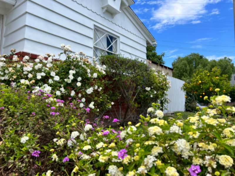 1905 Elanita Dr - Photo 6 of 26