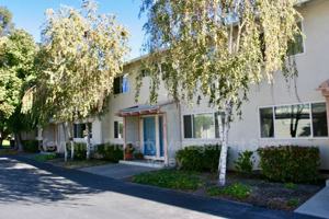 featured image of 2434 Rock St #16