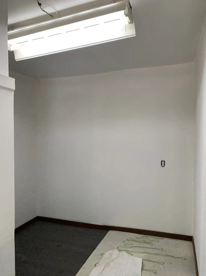 50 Avenue Boyer - Photo 6 of 7