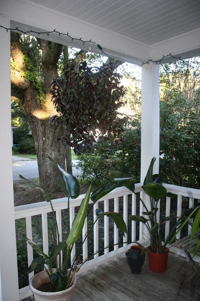 53 Avondale Avenue - Photo 3 of 19