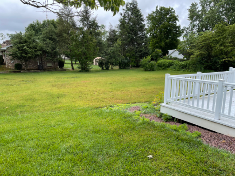 17321 Amber Dr - Photo 3 of 21