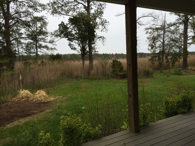 45076 Lois Marie Ln - Photo 3 of 15