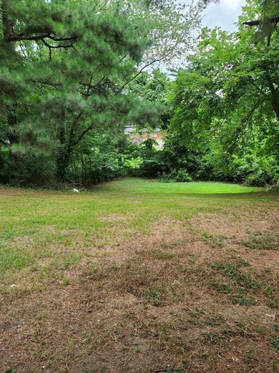 22 W Dunbar Rd #1 - Photo 2 of 13