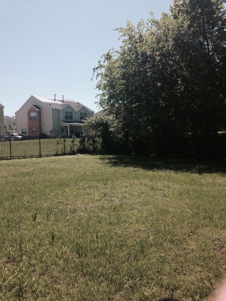 1016 W Marshall St - Photo 3 of 7