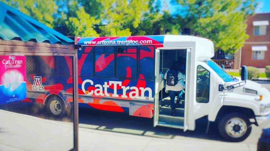 3135 N Mountain Ave - Photo 7 of 8